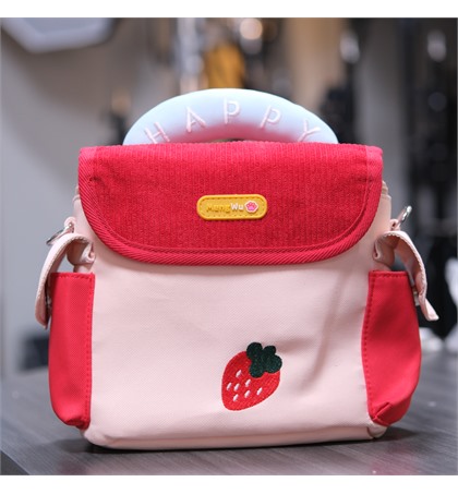 Camera Bag